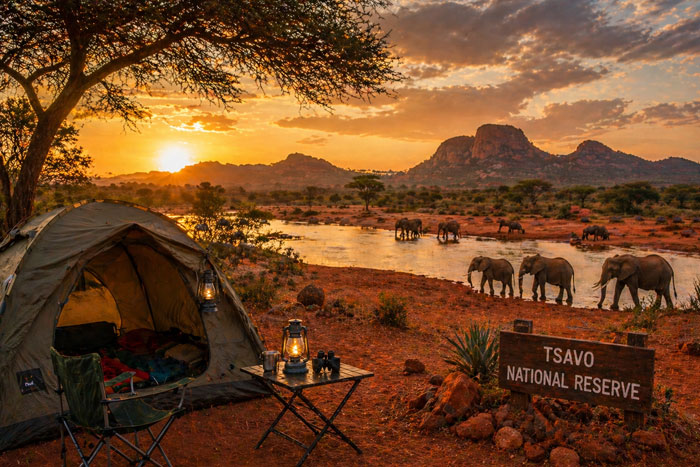 Camping experience in Tsavo National Park with elephants and river landscape