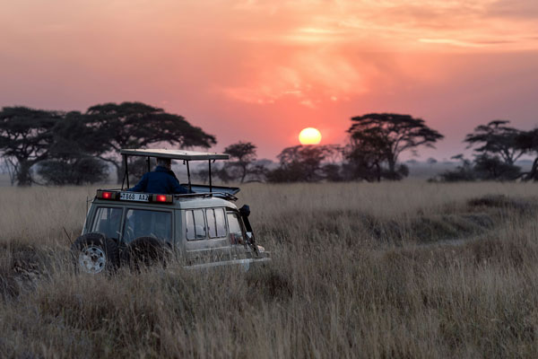 Jeep de safari au Kenya au coucher du soleil dans la savane