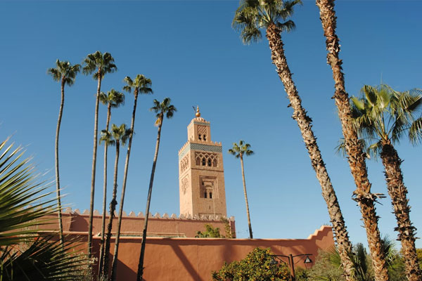 Mosquée et palmiers à Marrakech, destination de voyage au Maroc